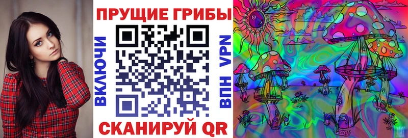 mega tor Нолинск Галлюциногенные грибы мицелий